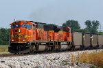 BNSF 8965 leads a loaded coal train.